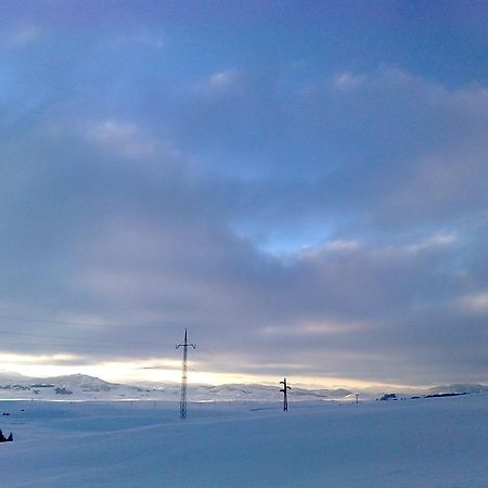 Penzion Boskovica Brvnare Žabljak Exteriér fotografie