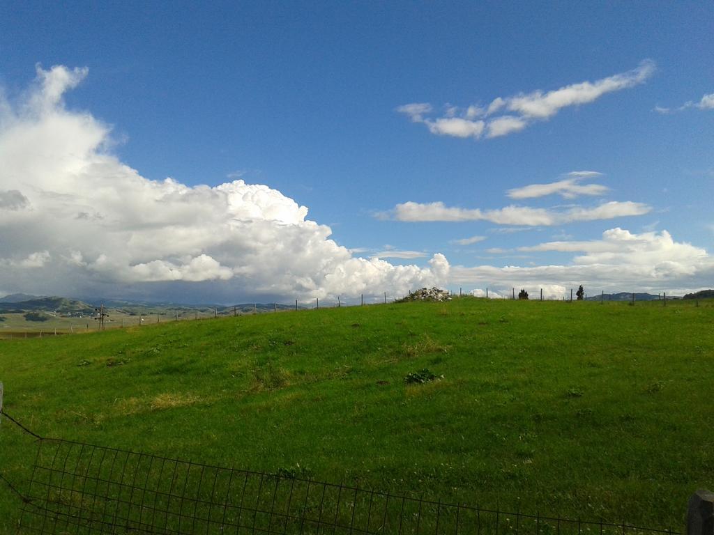 Penzion Boskovica Brvnare Žabljak Exteriér fotografie