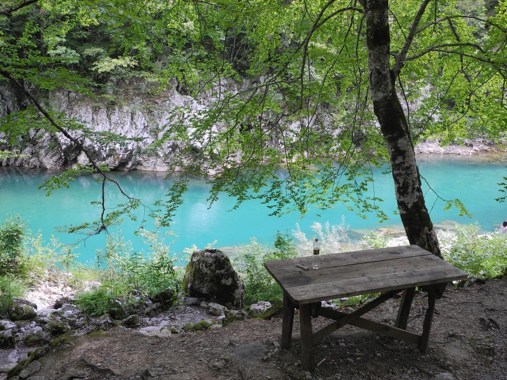 Penzion Boskovica Brvnare Žabljak Exteriér fotografie