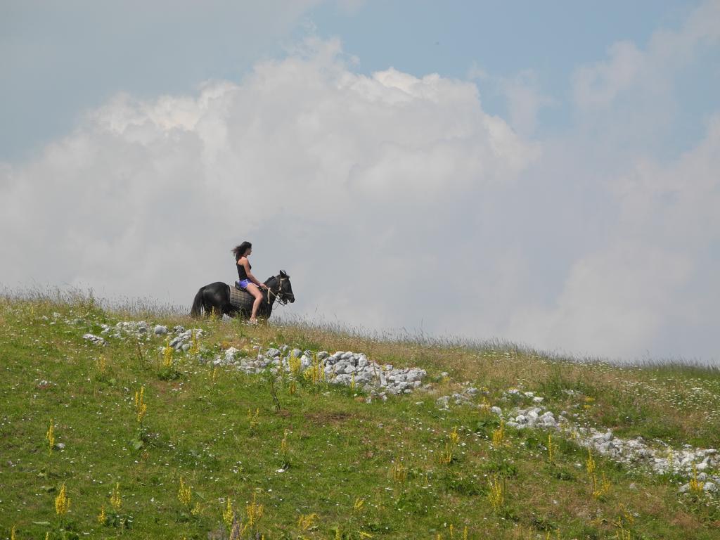 Penzion Boskovica Brvnare Žabljak Exteriér fotografie