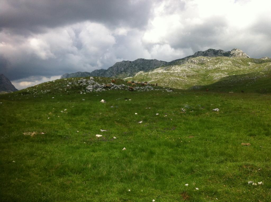 Penzion Boskovica Brvnare Žabljak Exteriér fotografie